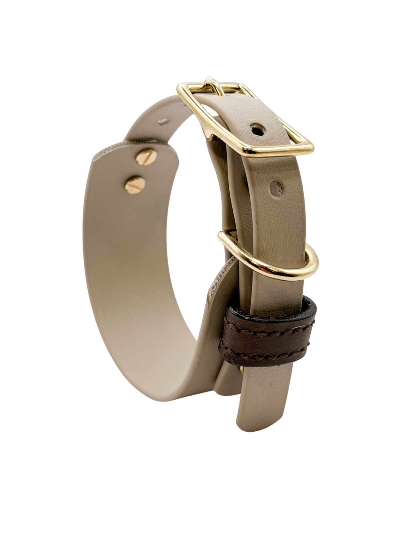 Obroża klasyczna Biothane